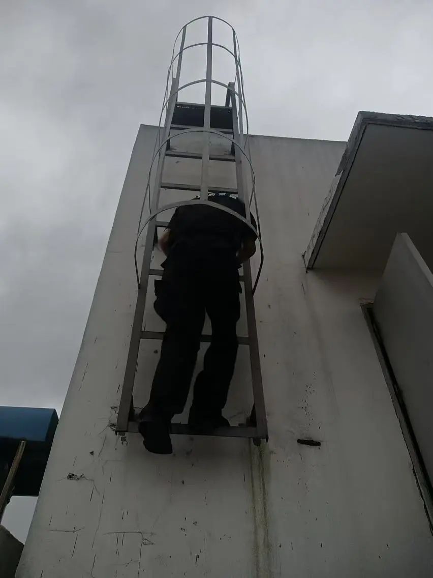 C:/Users/BA/Desktop/風(fēng)雨過(guò)后南京保安迅速行動(dòng)，恢復(fù)安“寧”面貌/3.jpg3